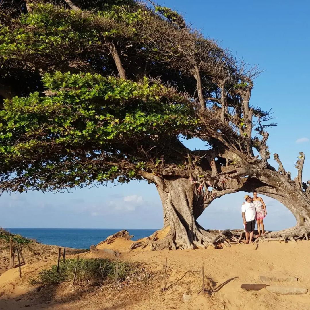 Chalés Paraíso de Maracajaú 1