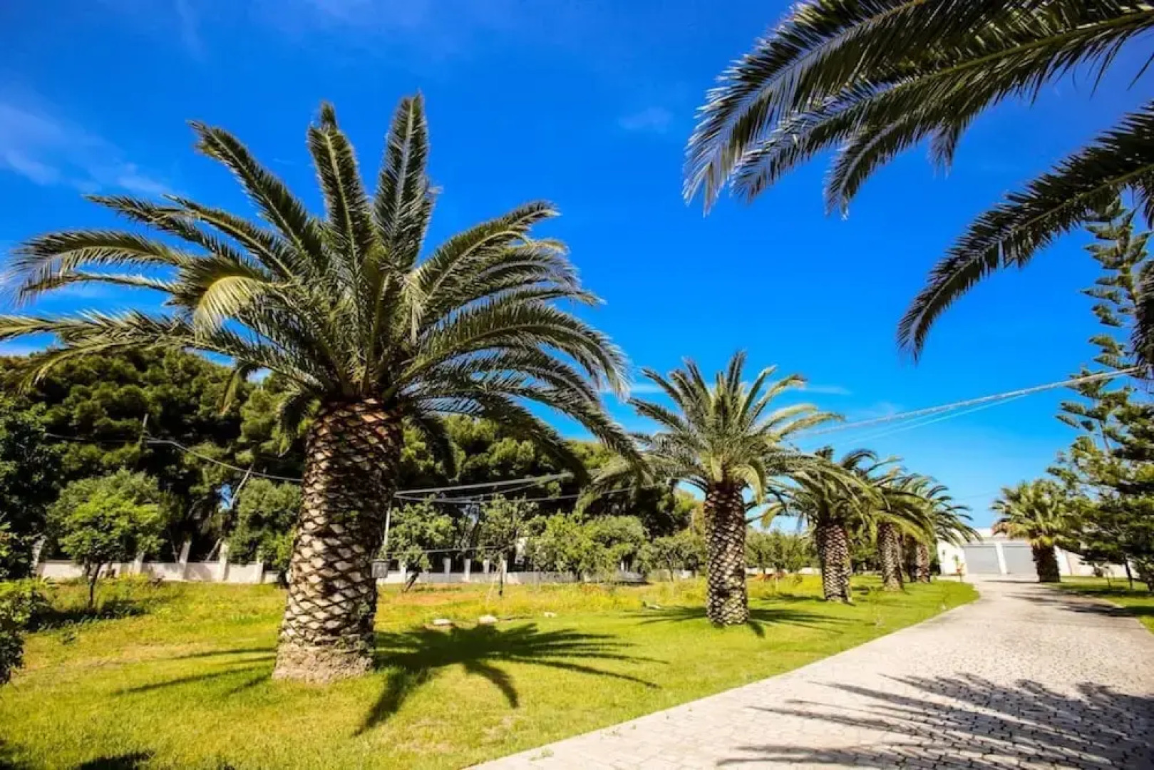 Esclusiva Villa a Ostuni con Piscina 1km dal Mare