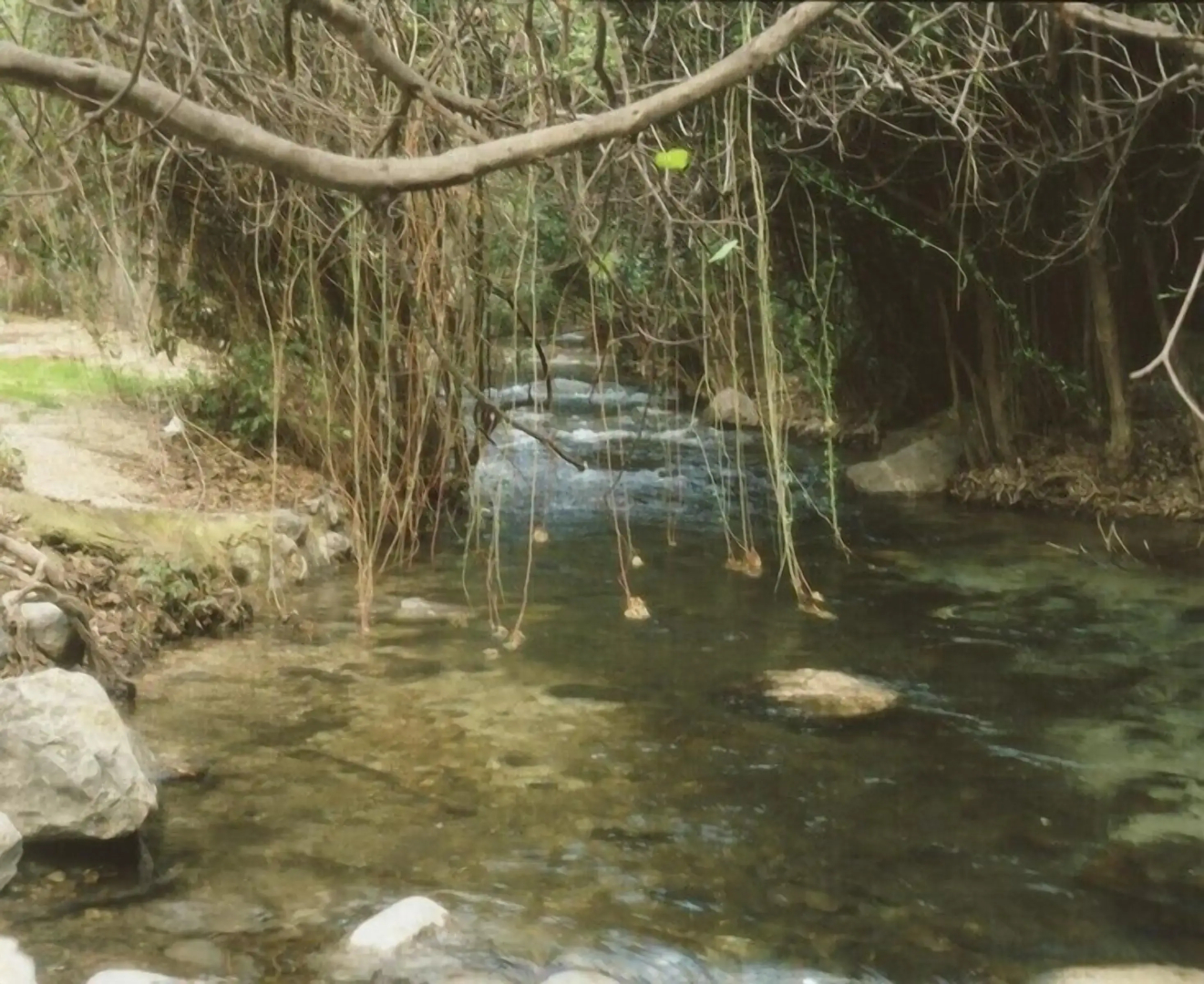 Cortijo el Cercadillo