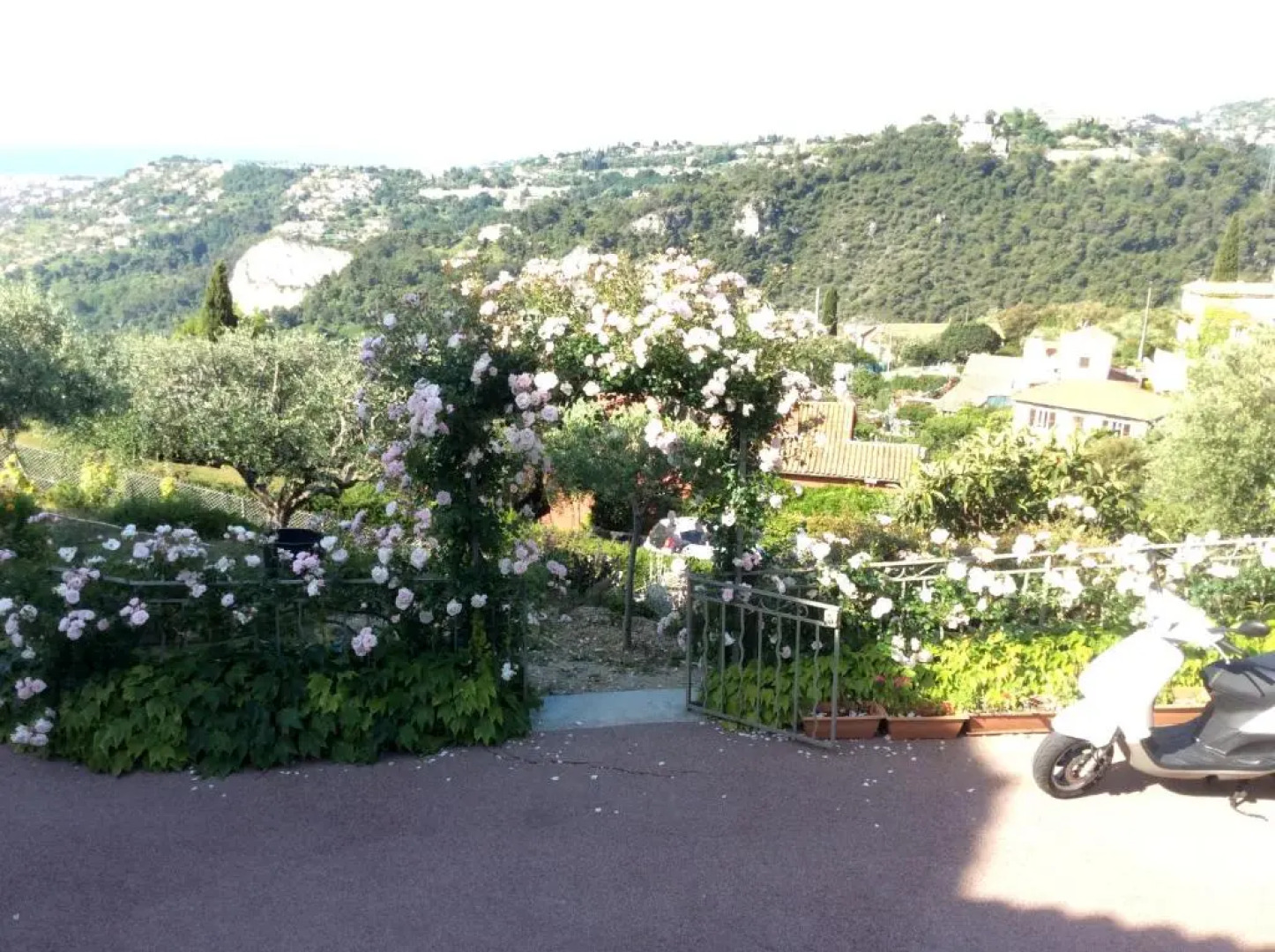 Room in Apartment - Beautiful F1 standing swimming pool, view