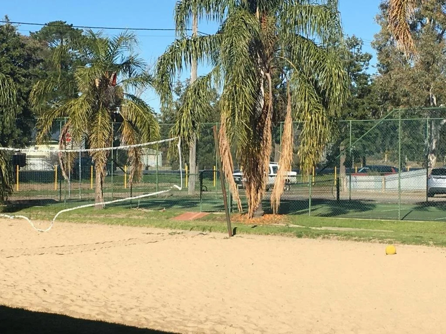 Palm and Pawn Motor Inn