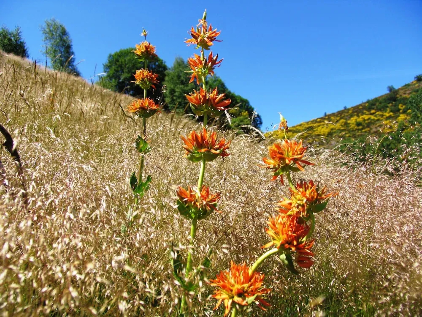 Casas Rurales Entre Babia y La Luna