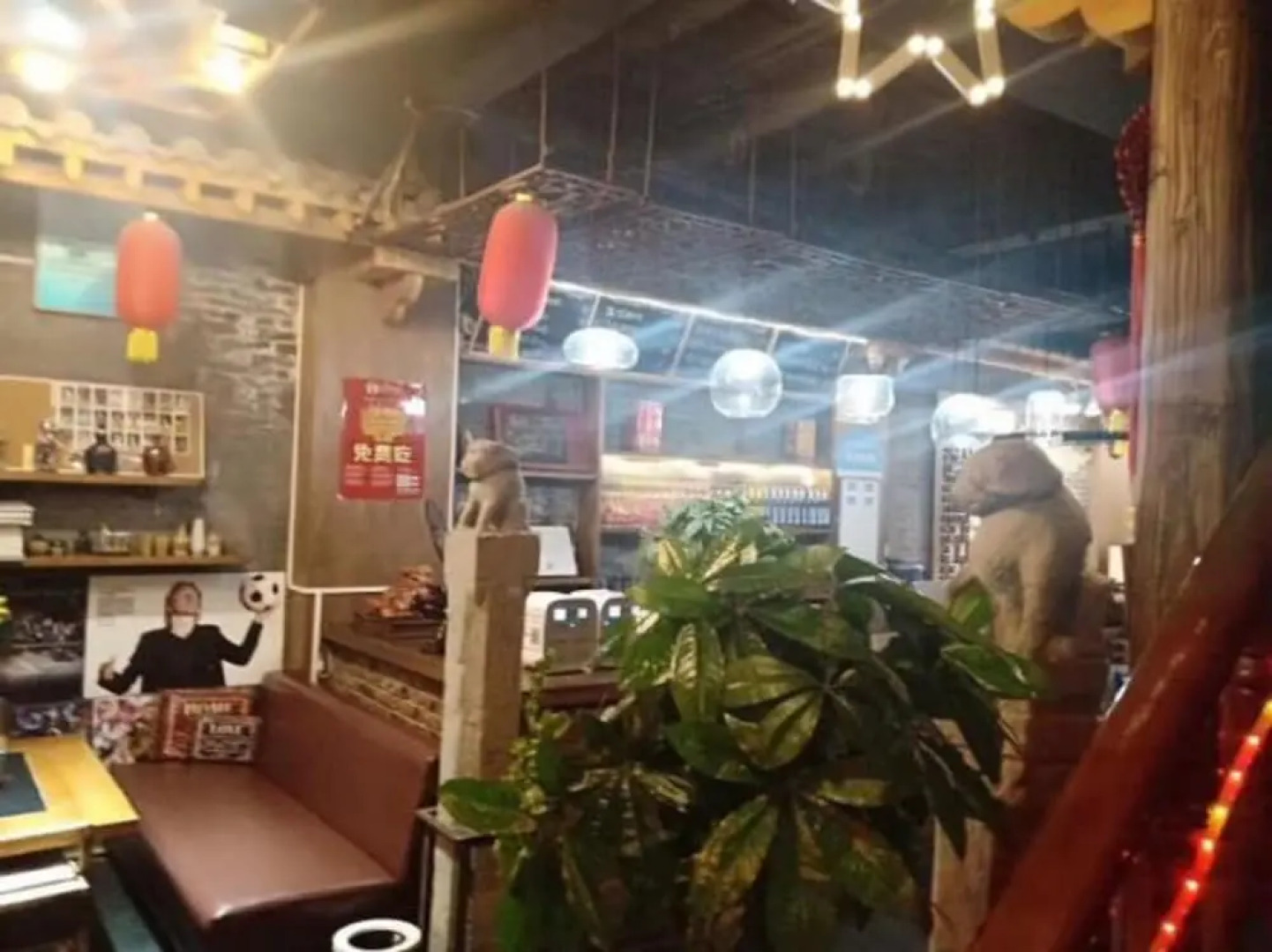 Xianyang Gudu International Youth Hostel