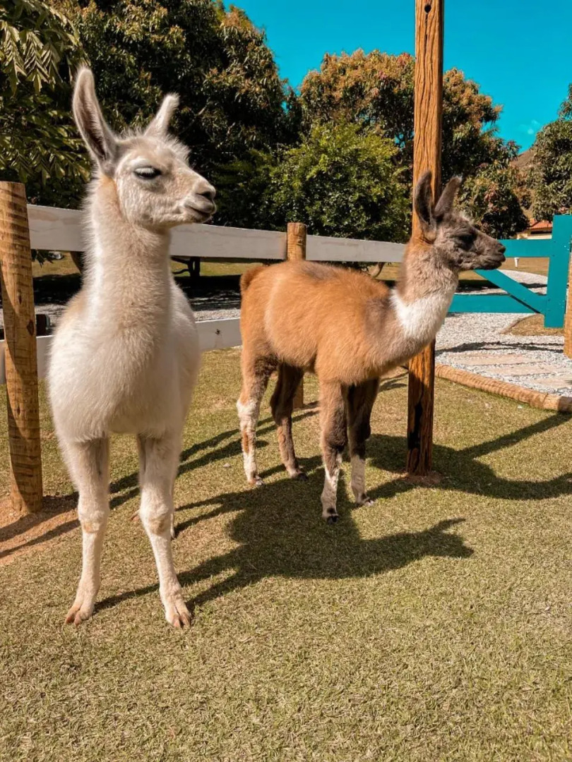 Pousada Minha Glória