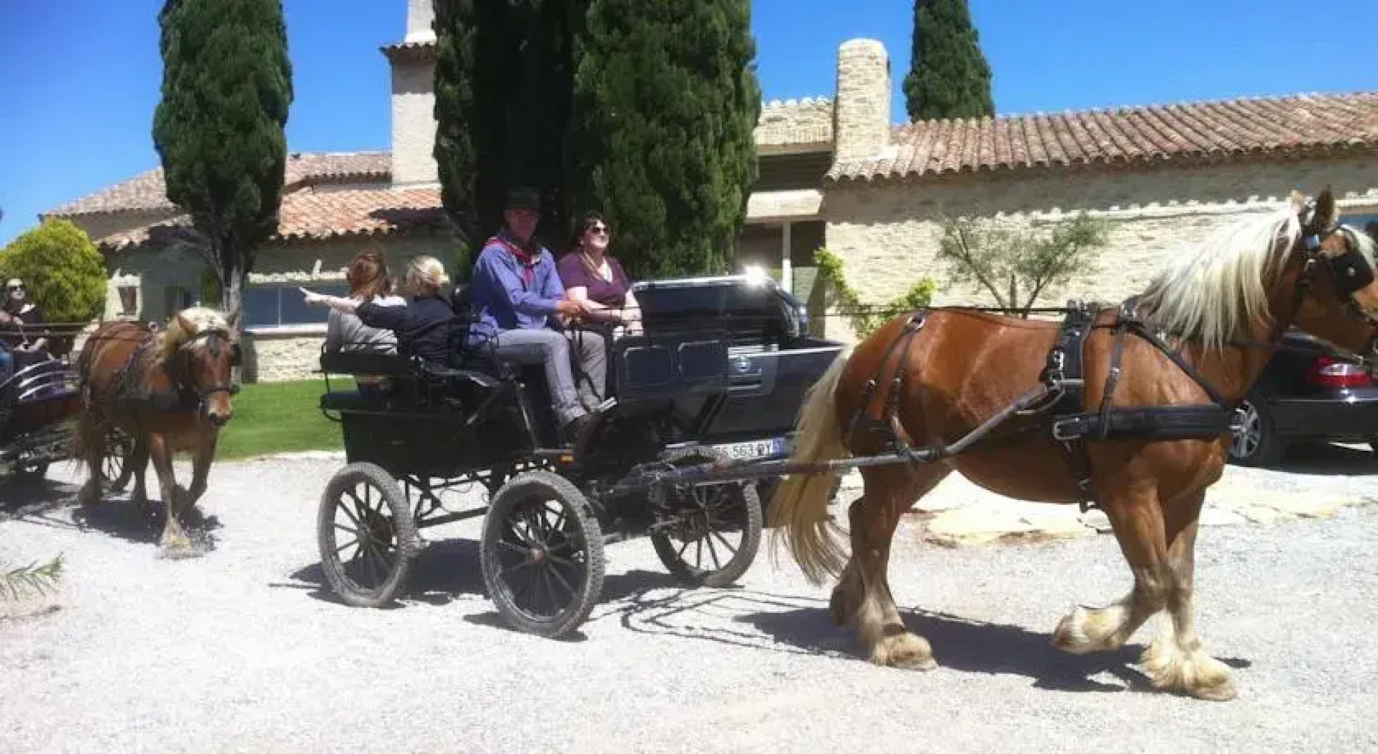 Le Chant Des Oliviers