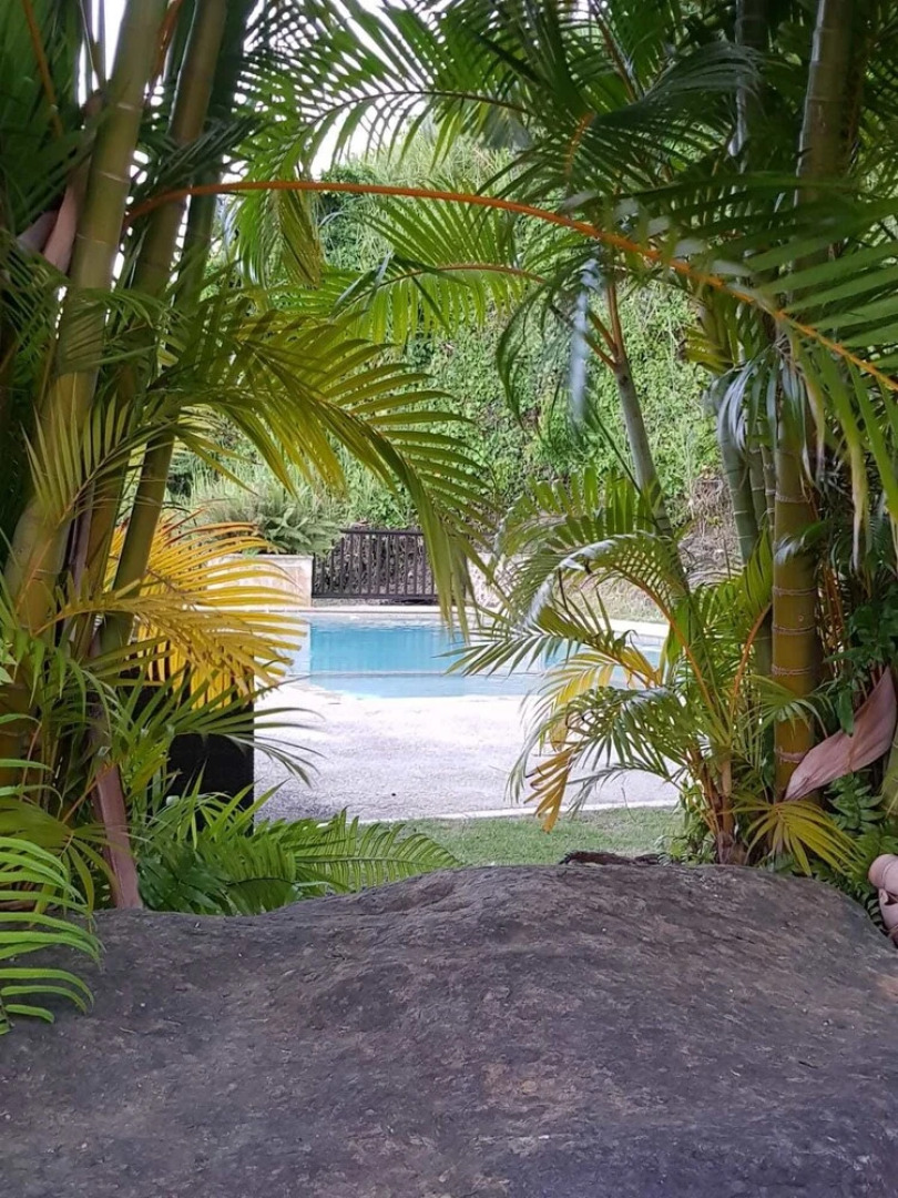 Mountain Lodge Suites