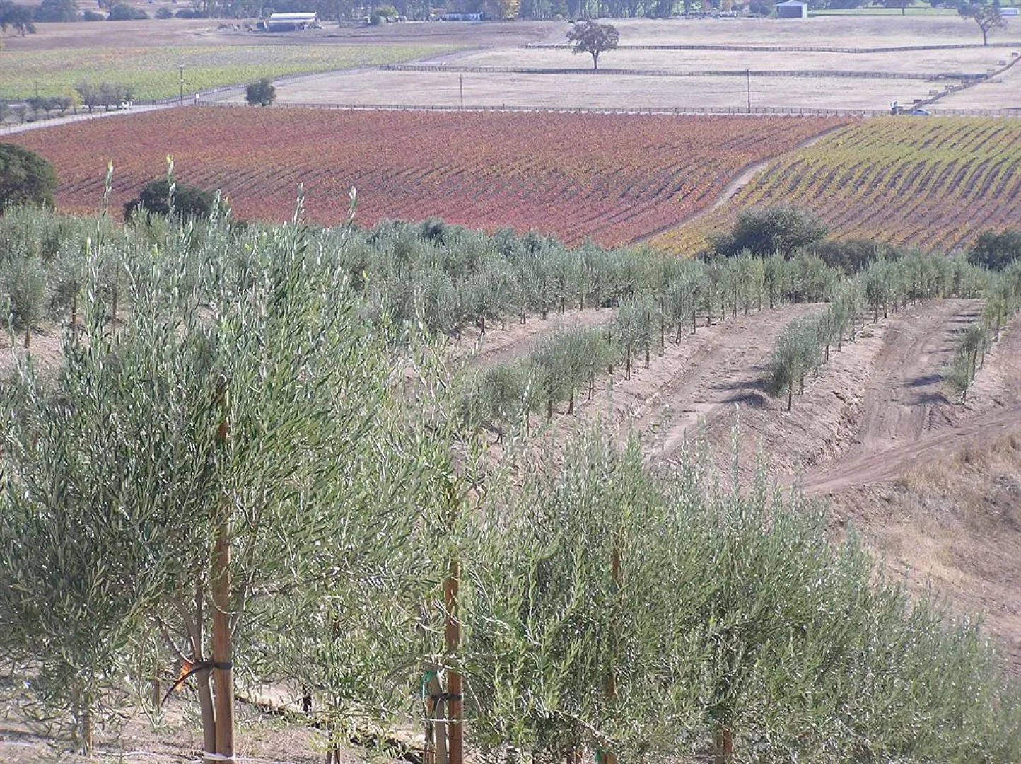 Alta Cresta Orchard & Inn