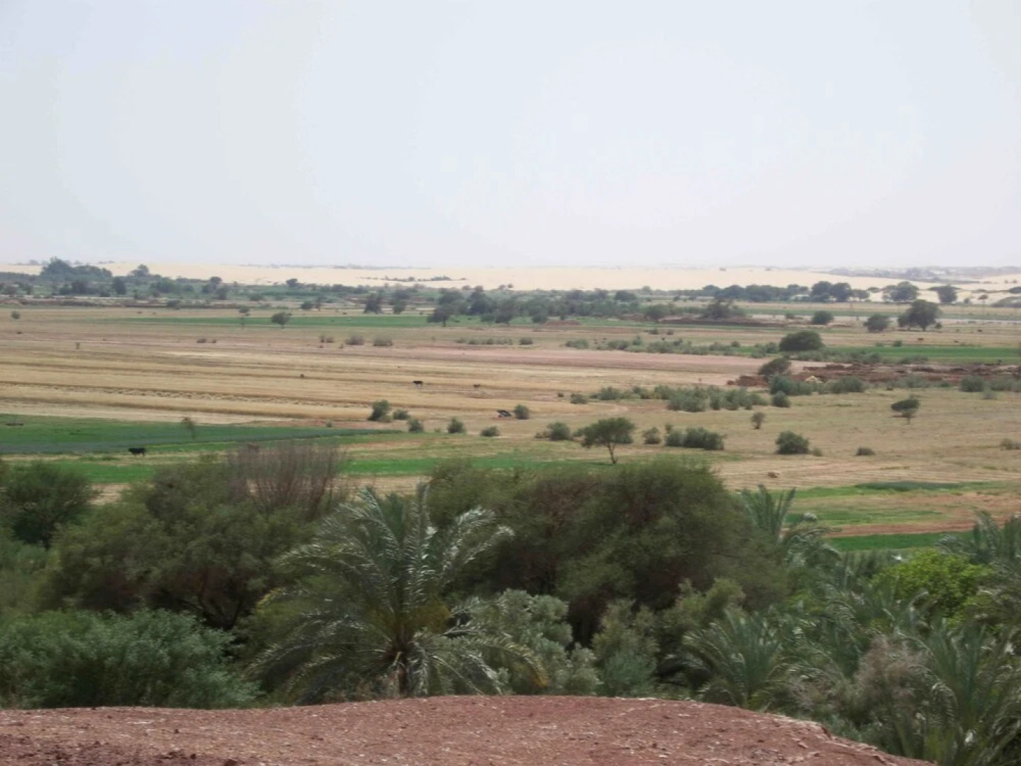 Shanda Lodge Desert Resort