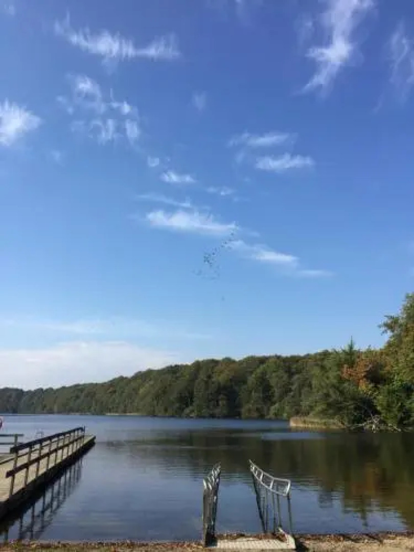 Wiroth Hannas 1910 Hammenhog