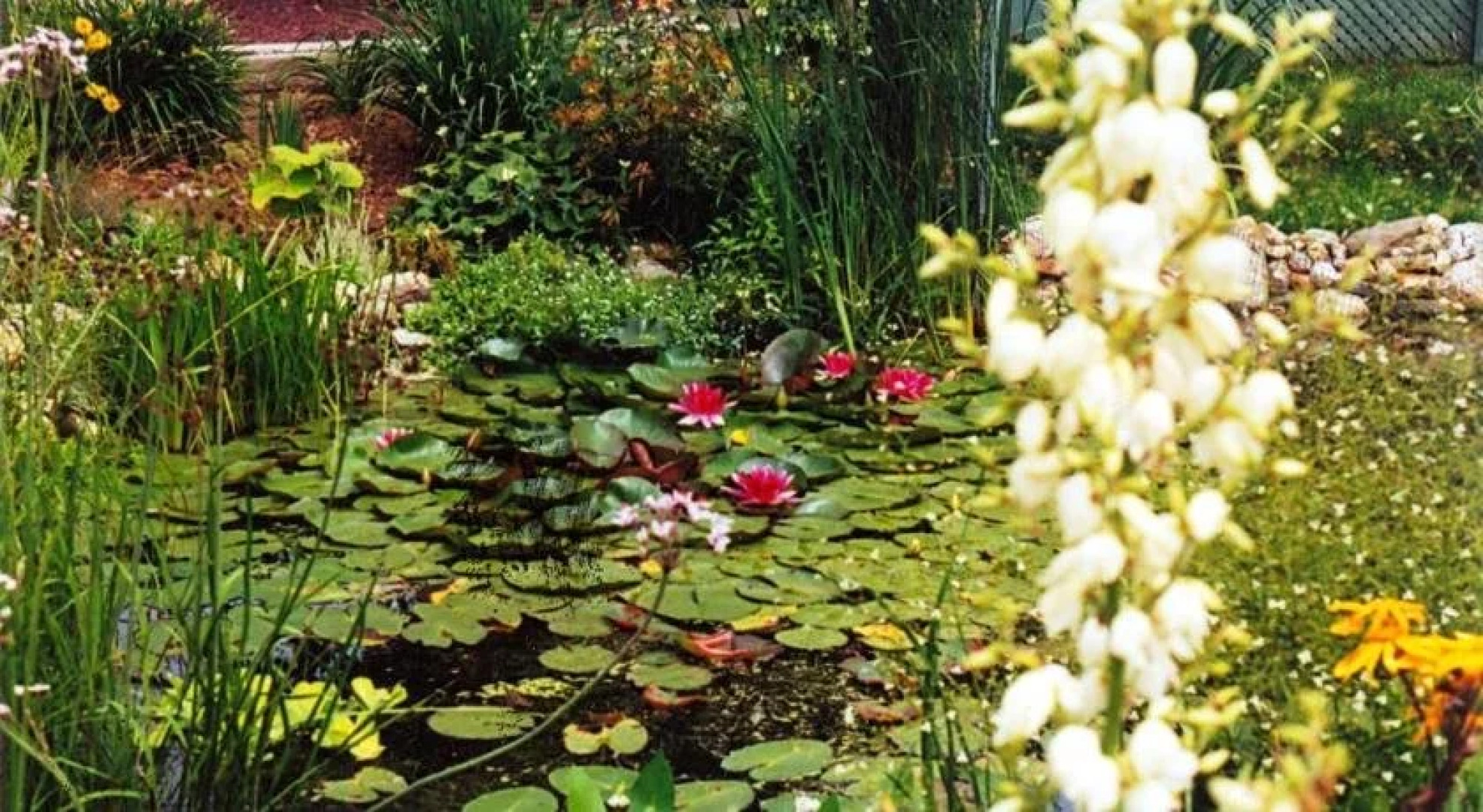 Au Domaine Gite Vallée des Roseaux