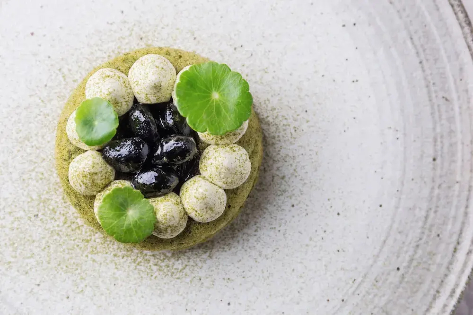 Thann Wellness Destination