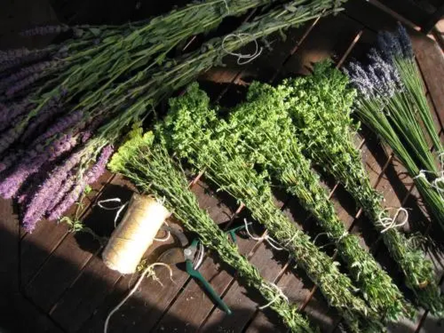 Quinta da Casa Velha Agroturismo