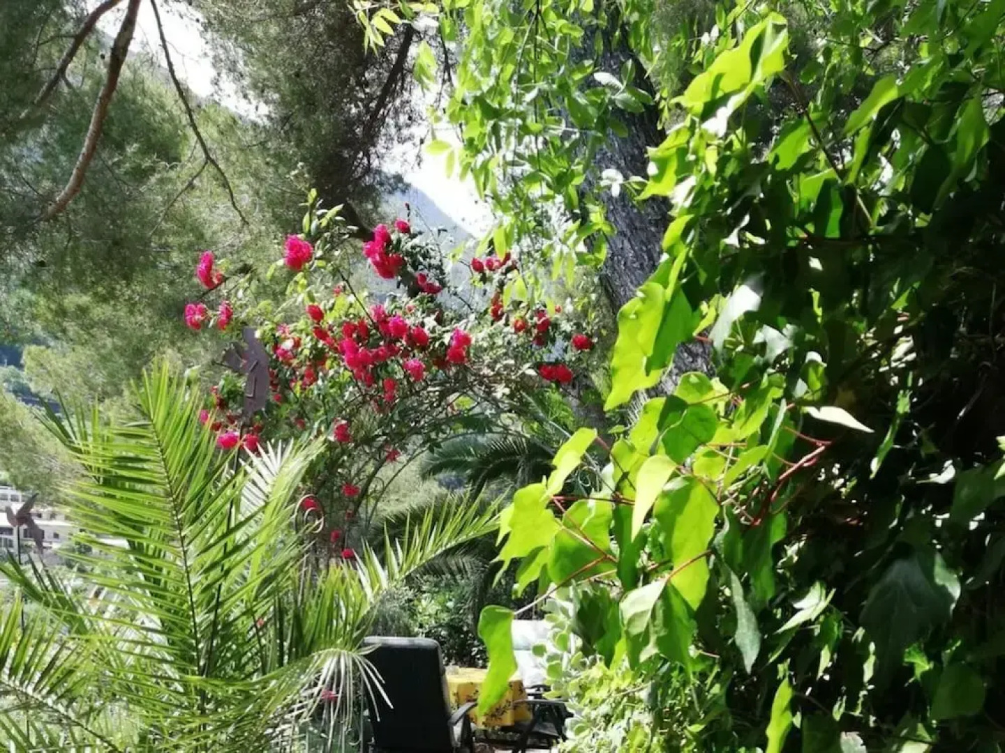 Tuinappartement - Castel D'incze