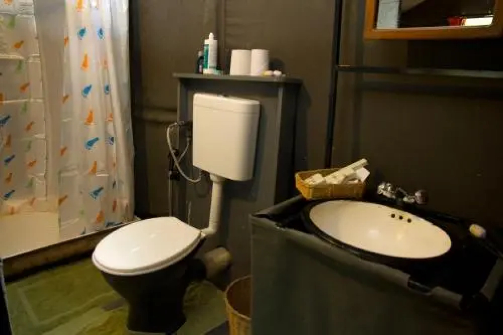 Mahoora Explorer - Dambana by Eco Team