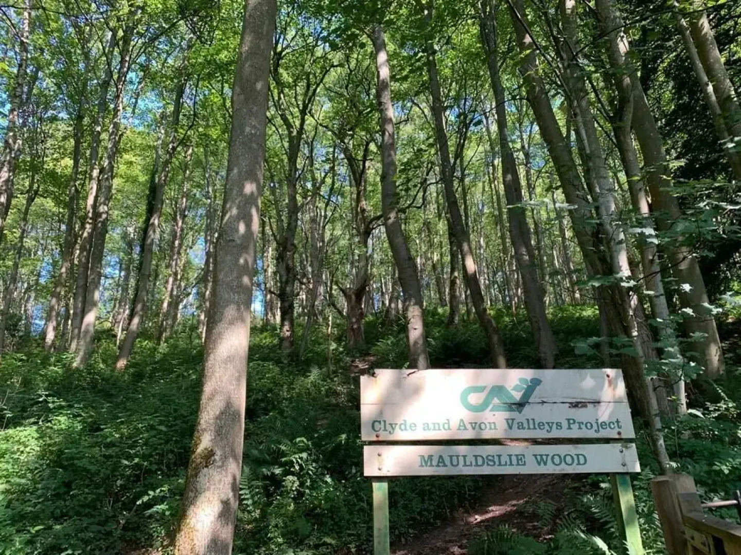 Stunning 1-Bed Apartment in Clyde Valley