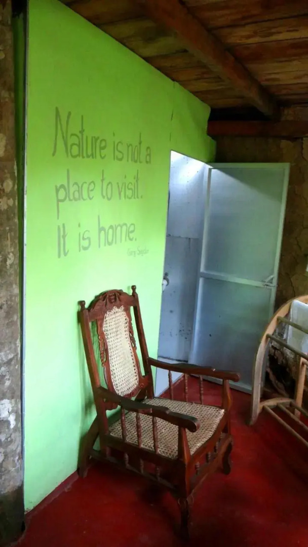 Rural Jungle Backpackers Hostel