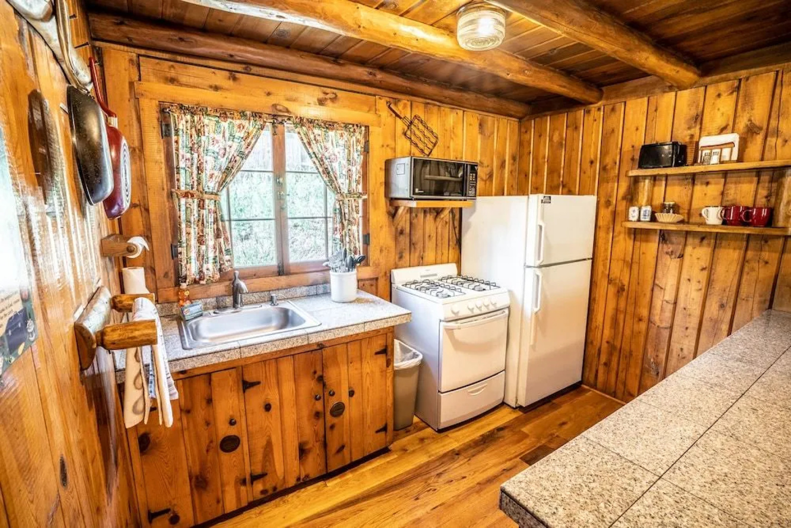 Colorado Bear Creek Cabins