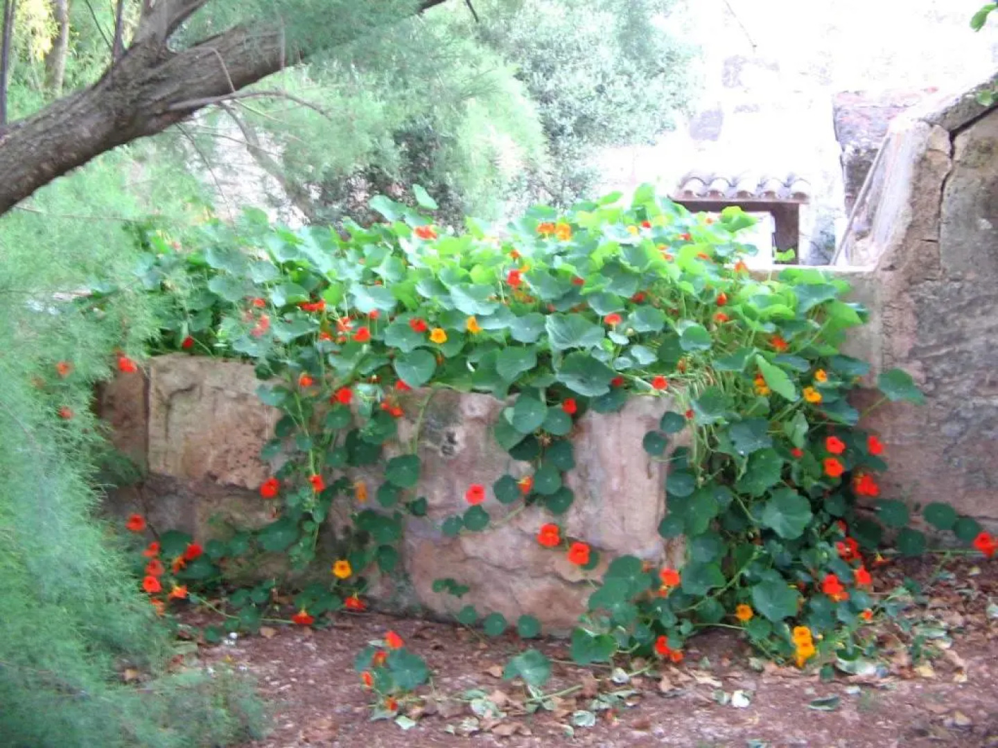 Agroturismo Finca Sant Blai