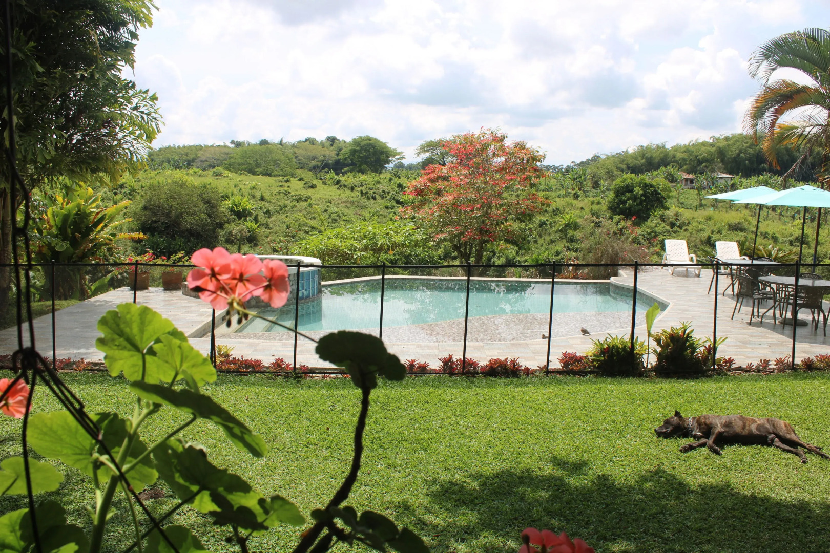 Finca la colmena de don juaco