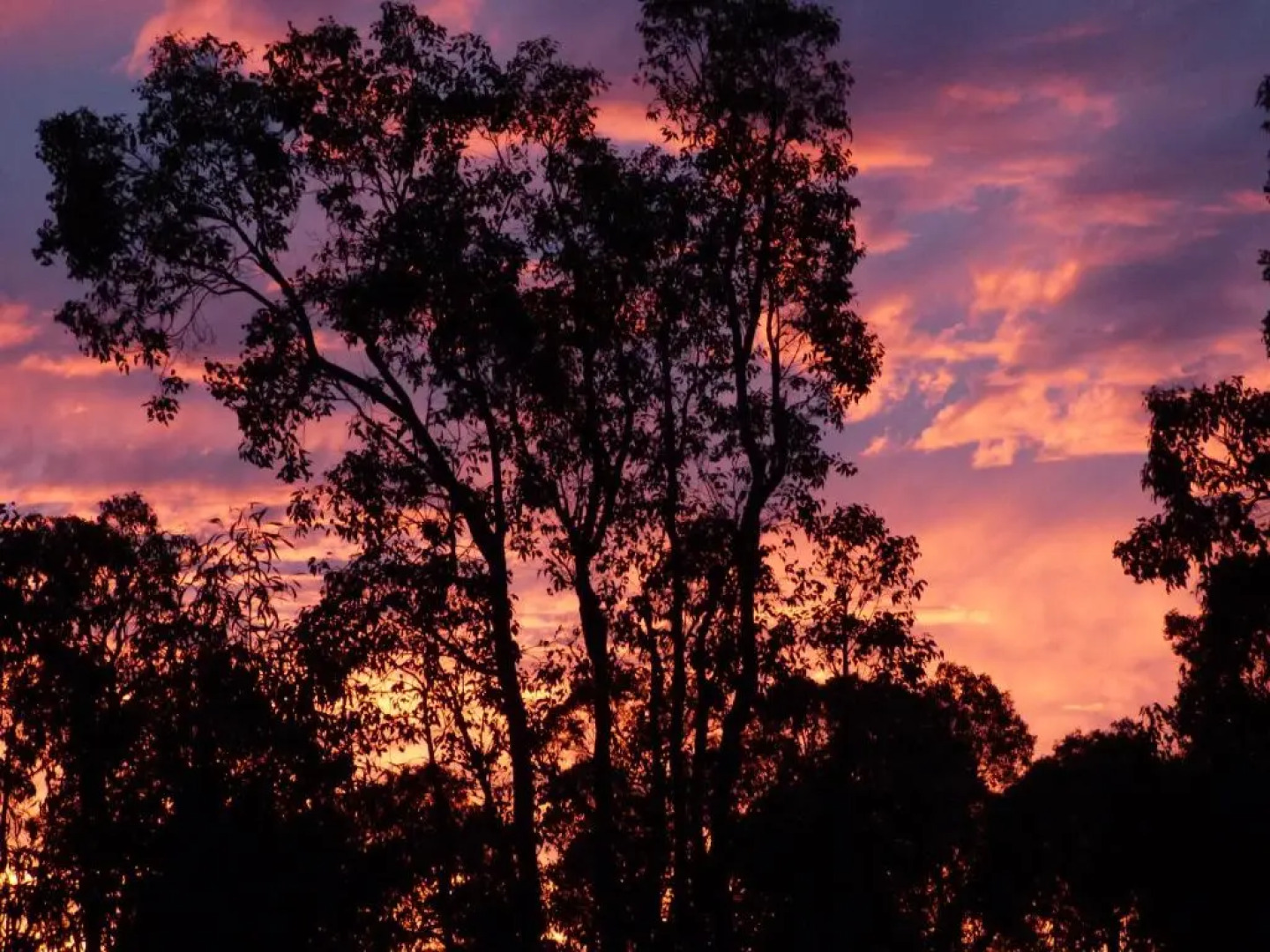 Country Charm Retreat B&B