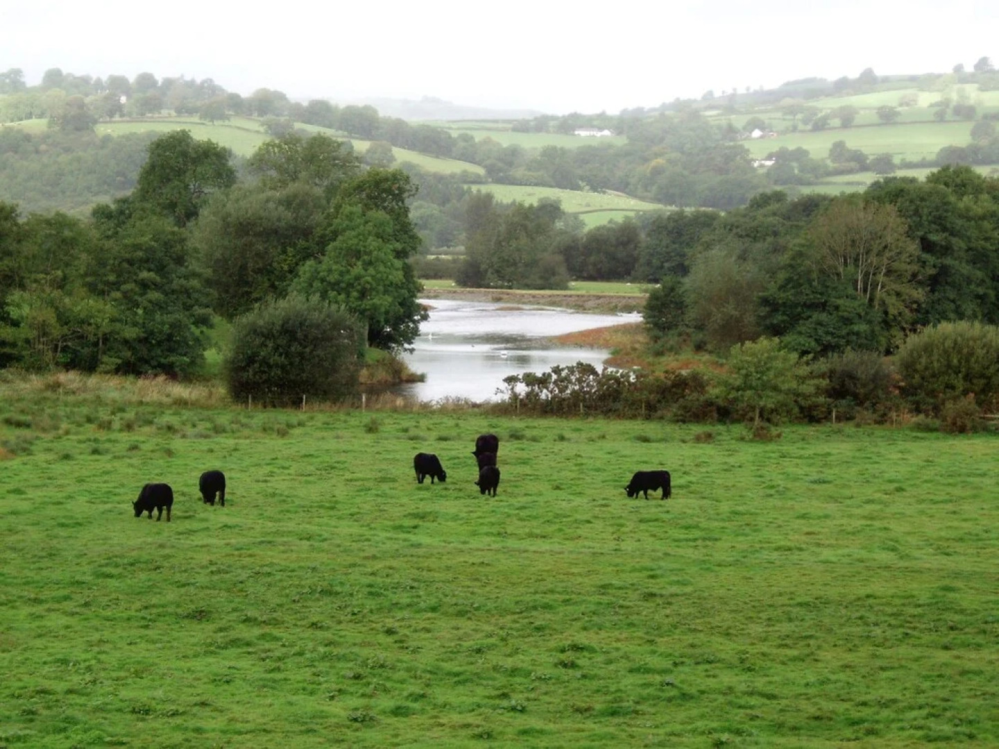 Beautiful Apartment With Jacuzzi Surrounded By The Nature Of Llandovery