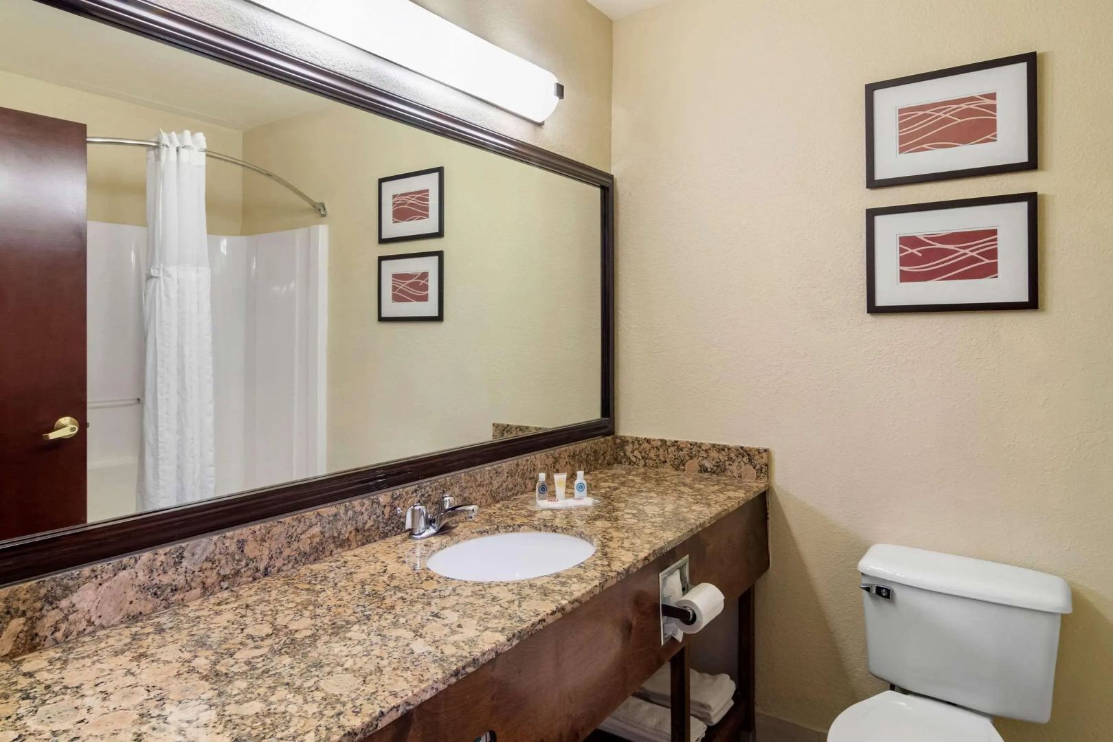 Comfort Inn & Suites Suwanee - Sugarloaf