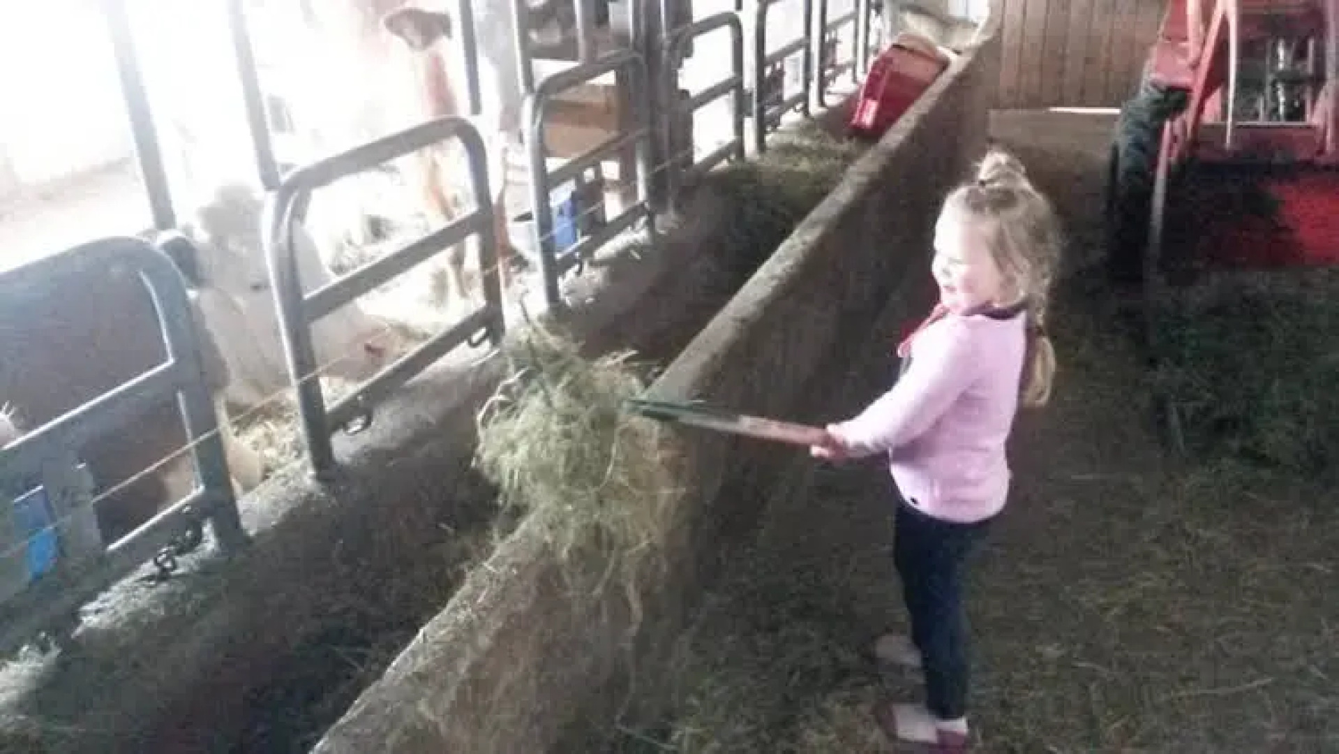 Wohlfühlbauernhof Bambichlhof