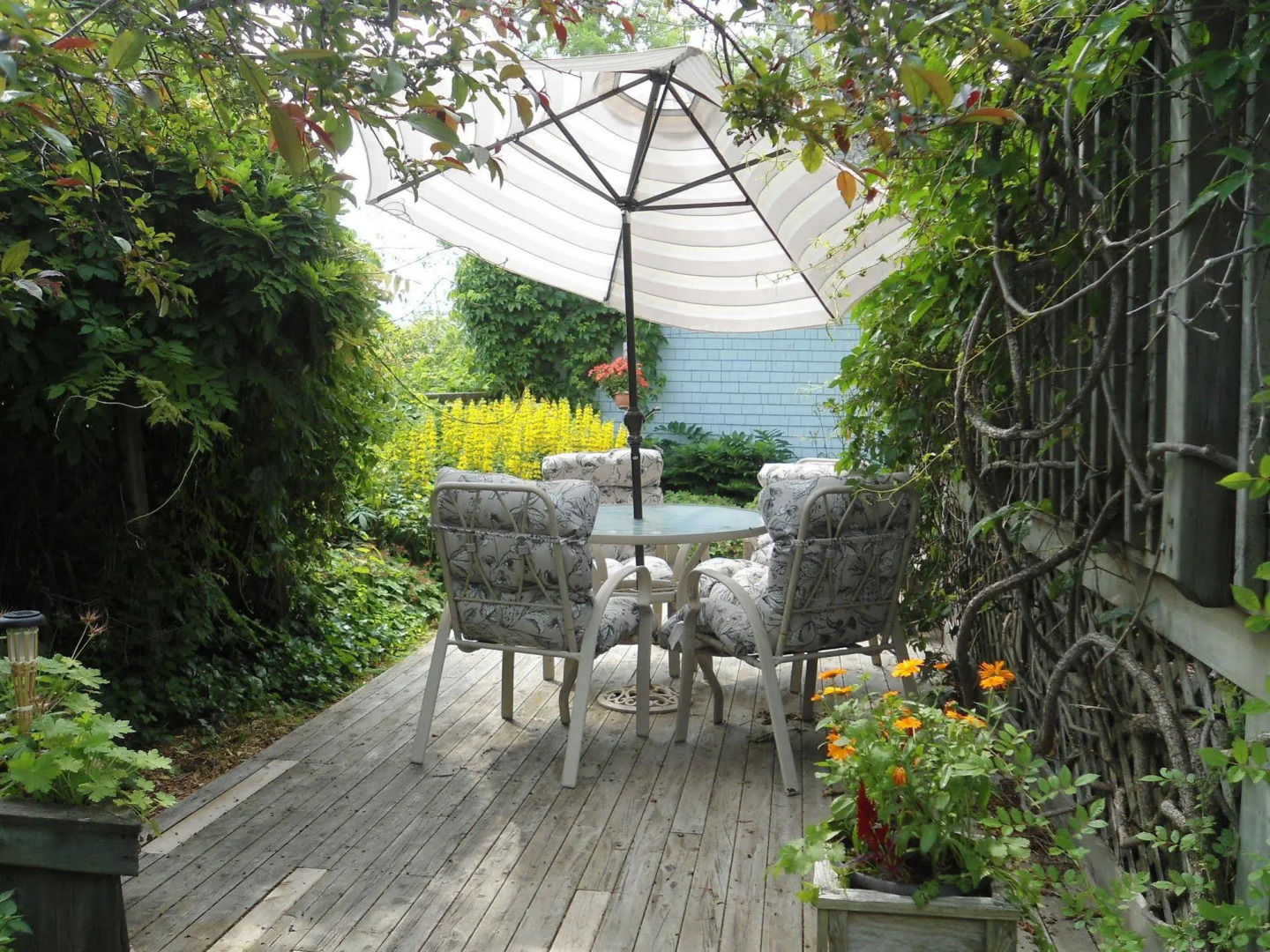 Cherry Tree Loft Apartment