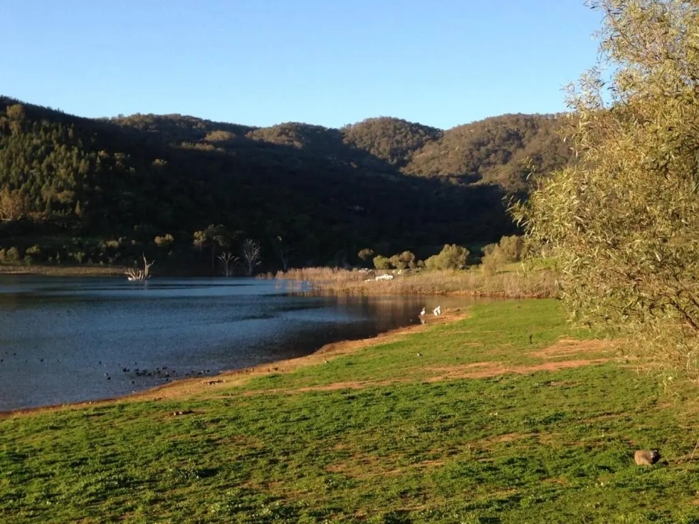 Airlie House Motor Inn