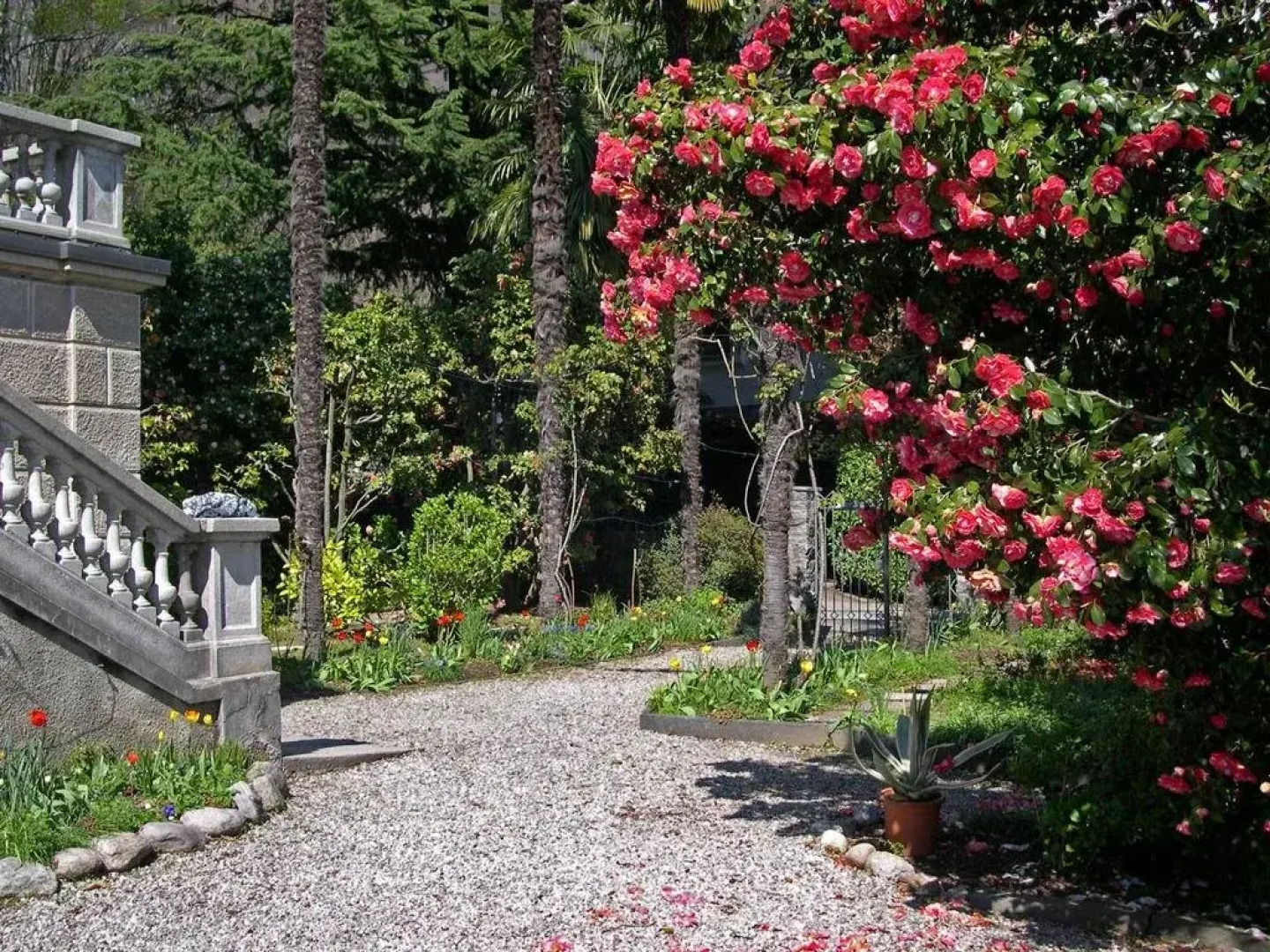 Bed and Breakfast Casa Locarno