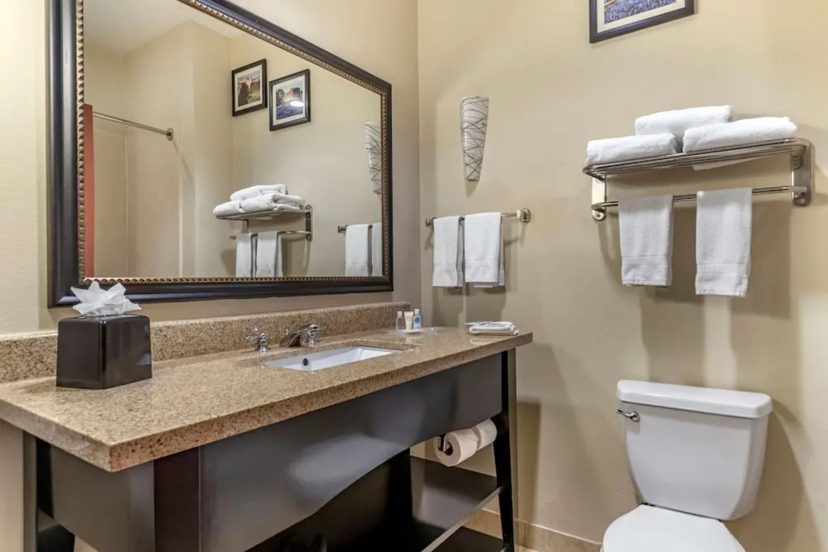 Comfort Suites Buda - Austin South