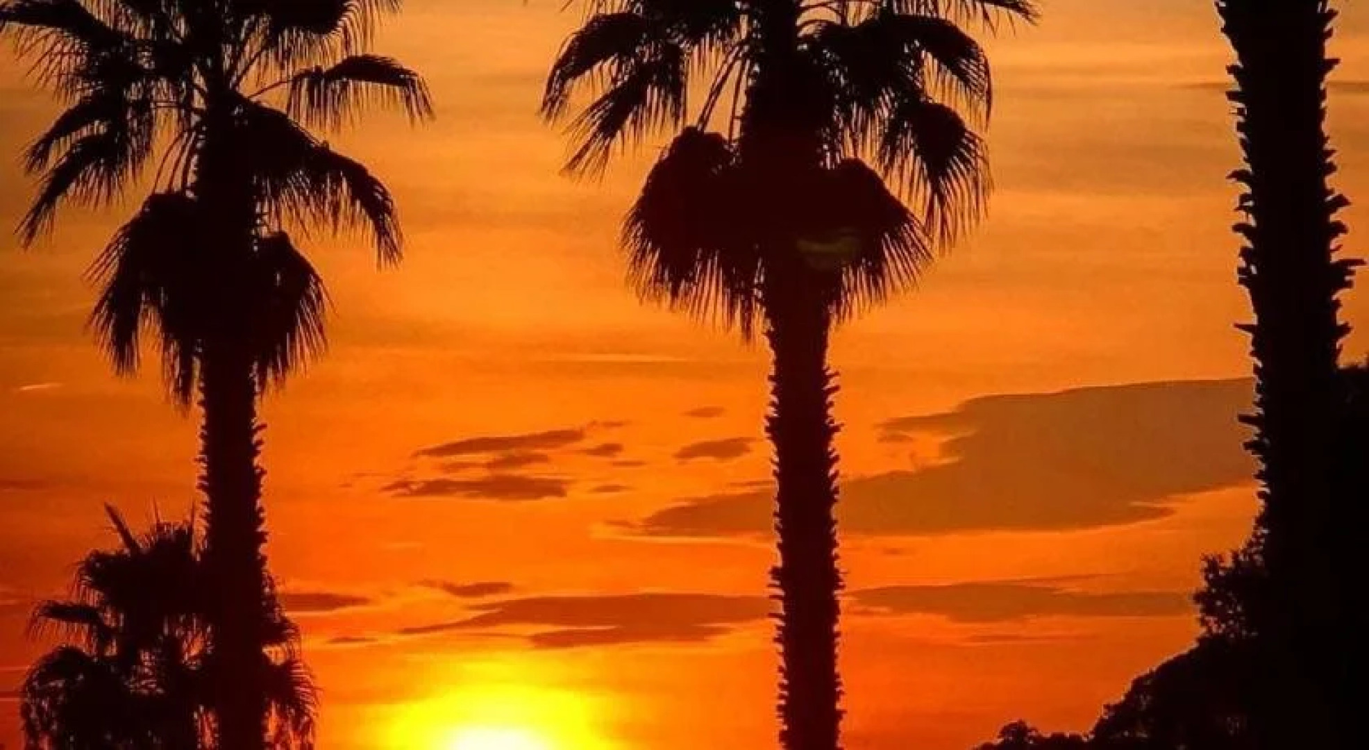 Residence La Palmeraie