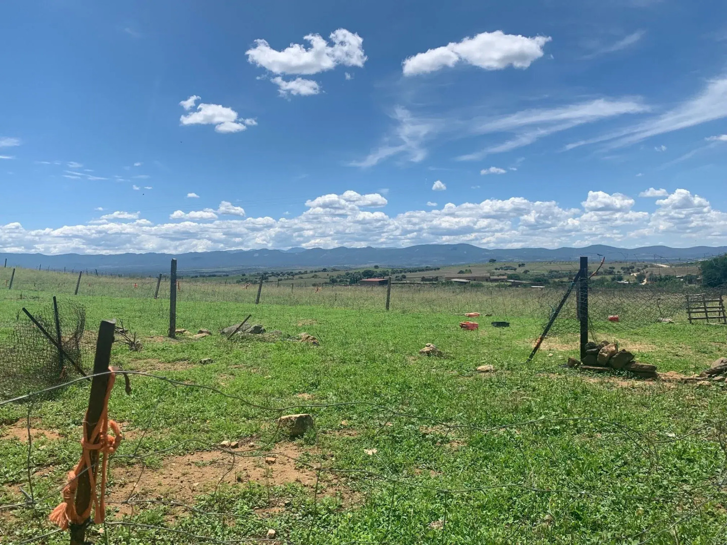 La Almazara de Valdeverdeja