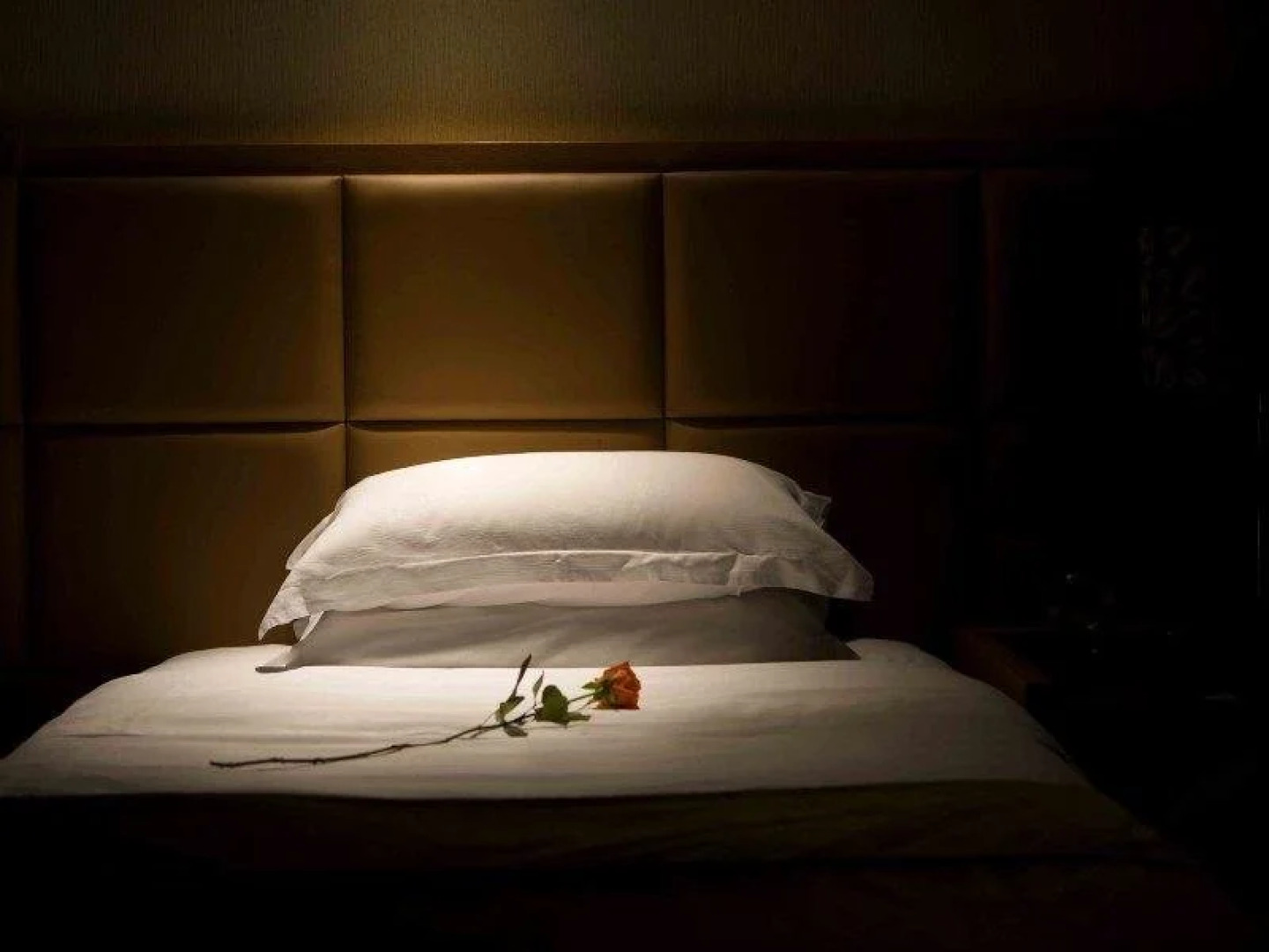 Jiangdong Teckon Ciel