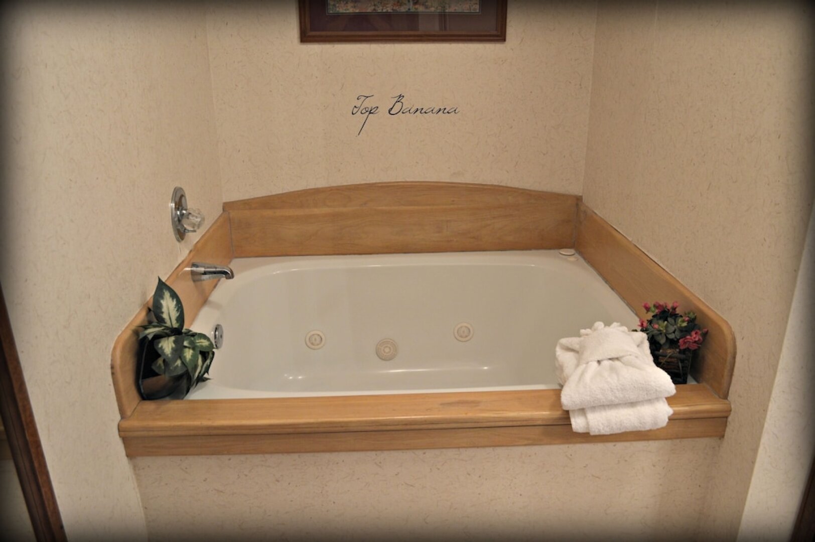 In the Smokies Cabin Rentals