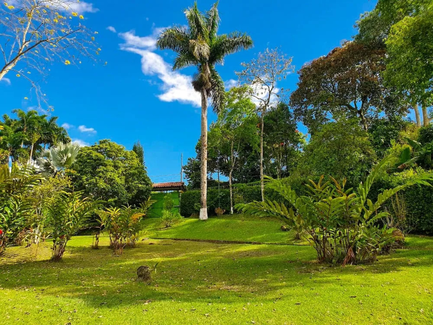 Room-room With 1 Double bed and 2 Single