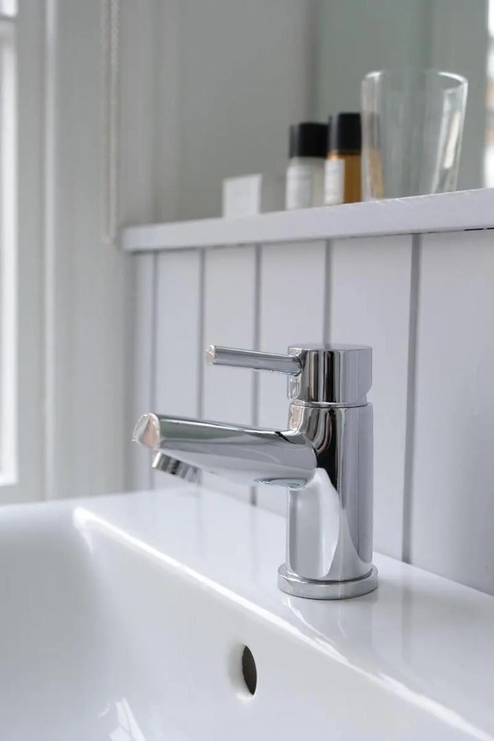 Lion and Pheasant Hotel