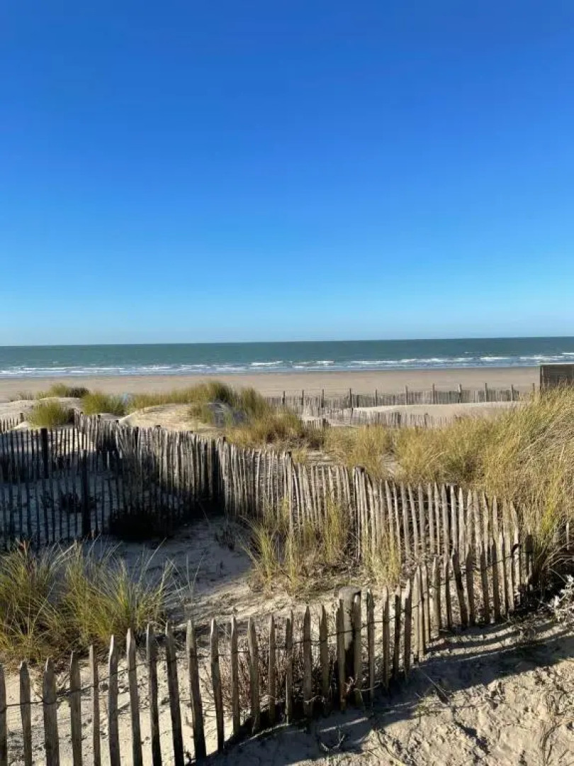 Cosy Appartement vue mer