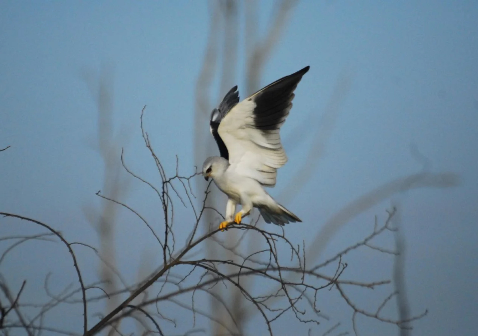 Mahoora - Yala by Eco Team