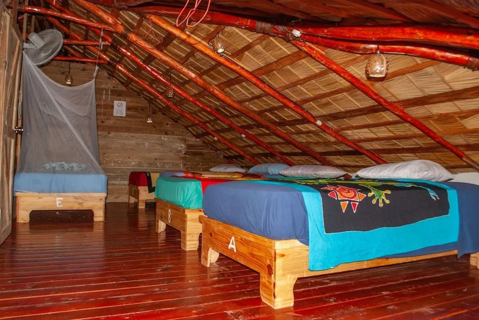 Hostel La Ballena Backpacker