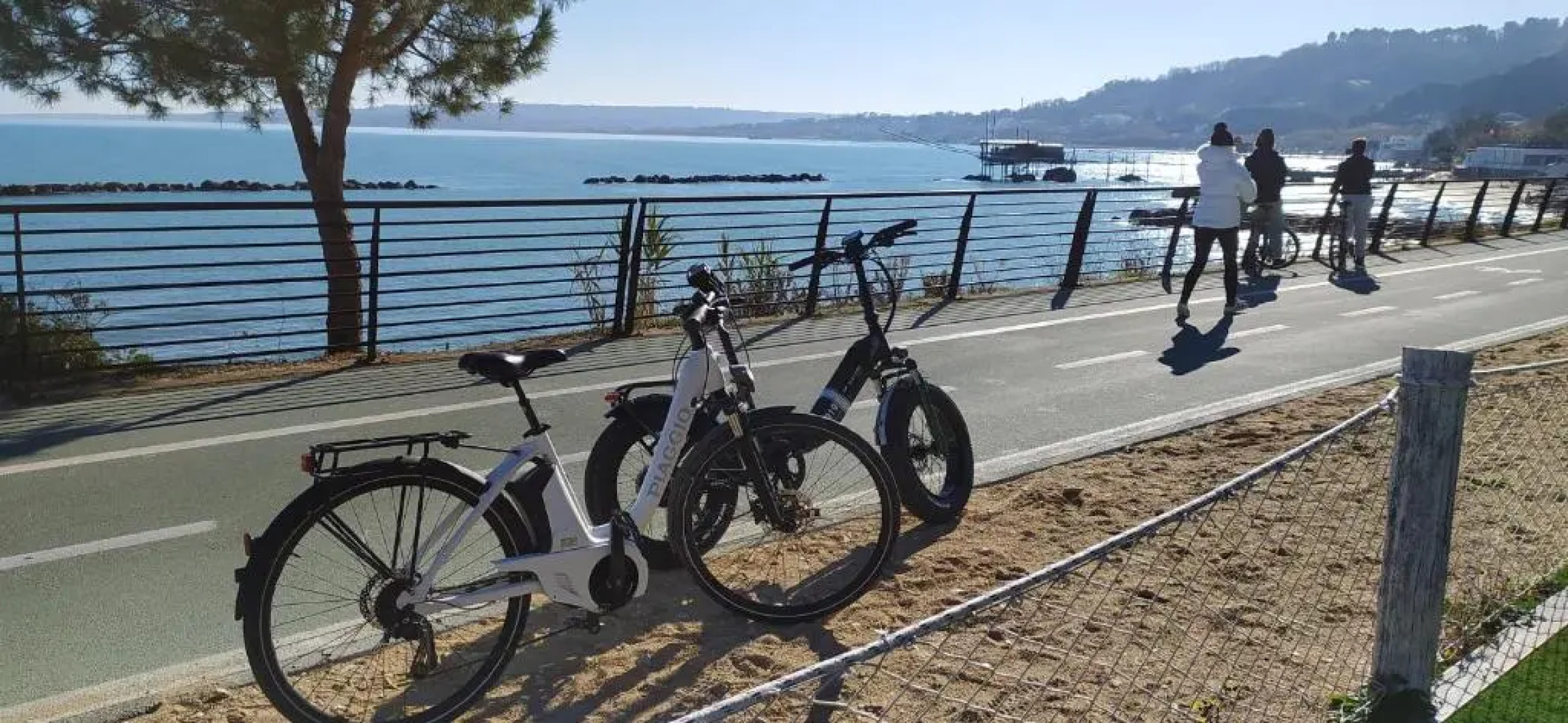 Il Giardino Fra Gli Ulivi