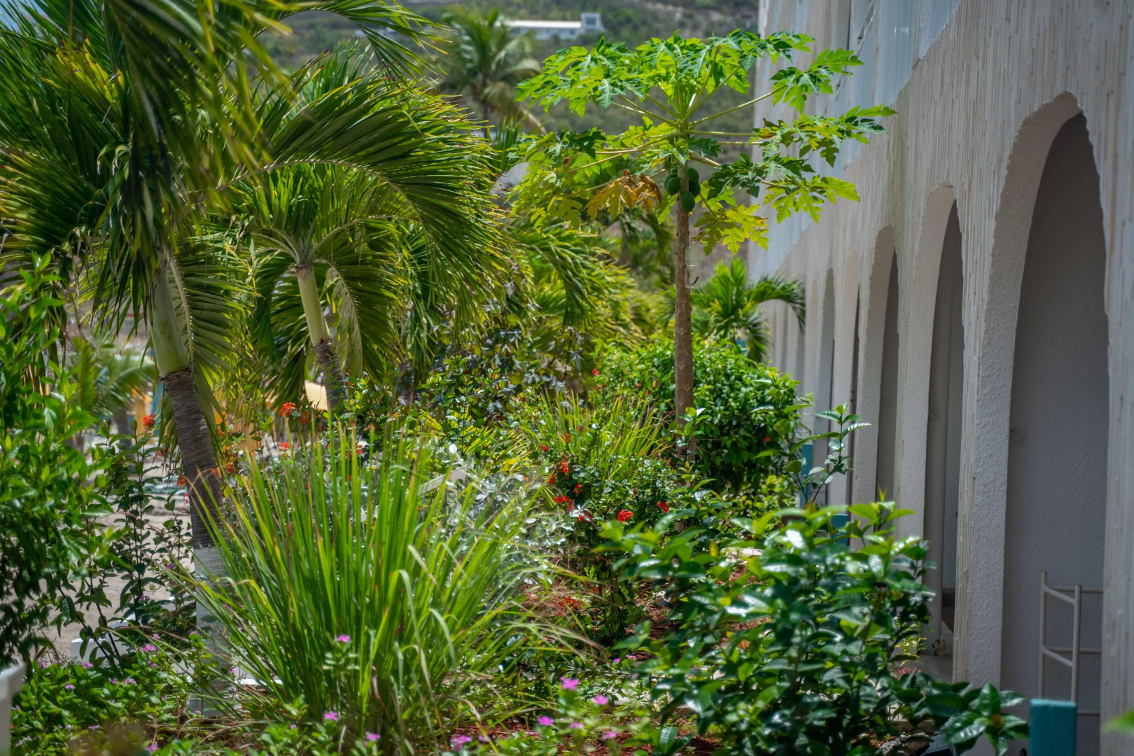 Belair Beach Hotel