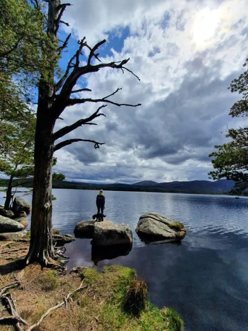 Ptarmigan Lodge Nethy Bridge