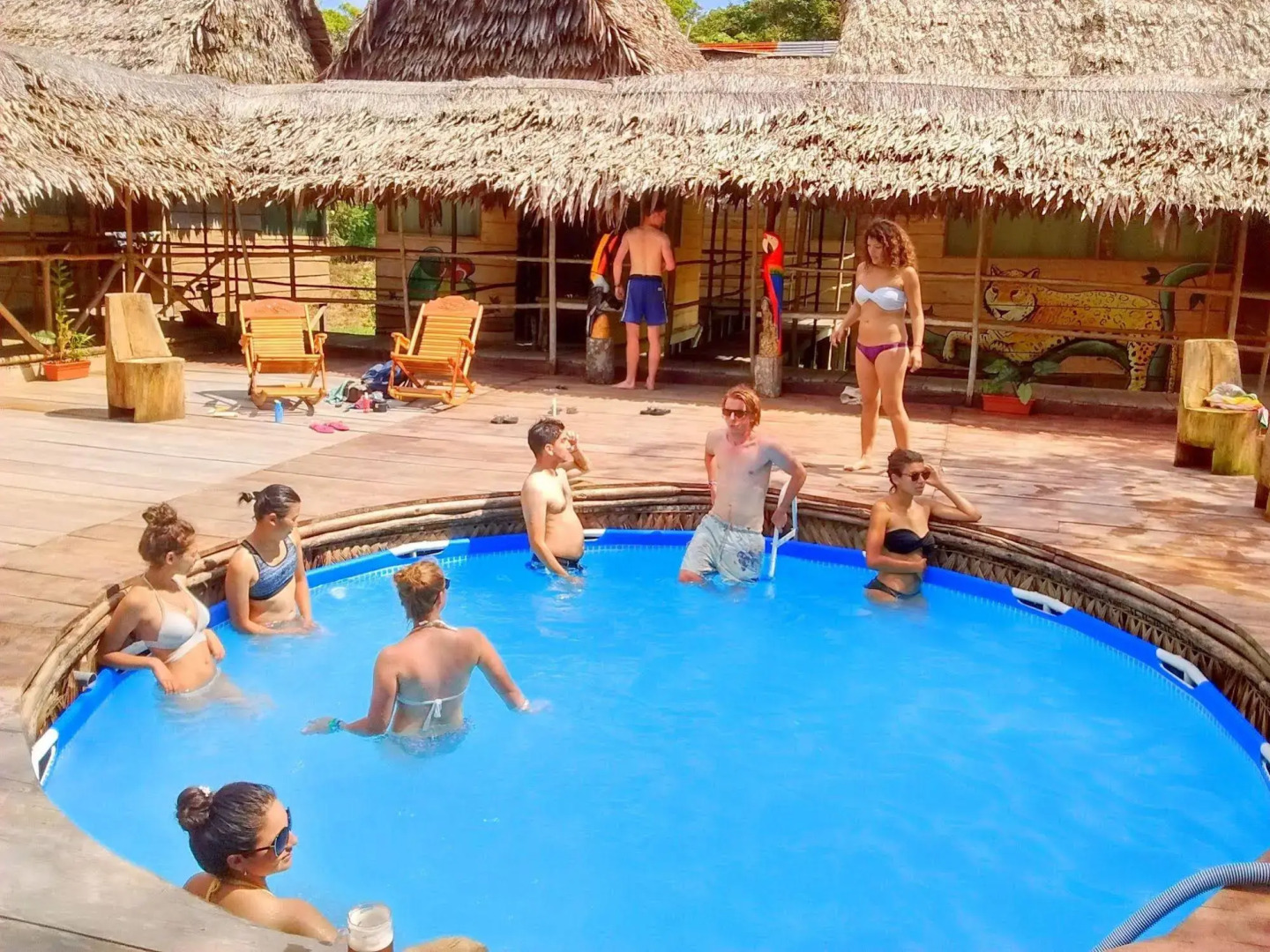 Avatar Amazon Lodge & Canopy Park