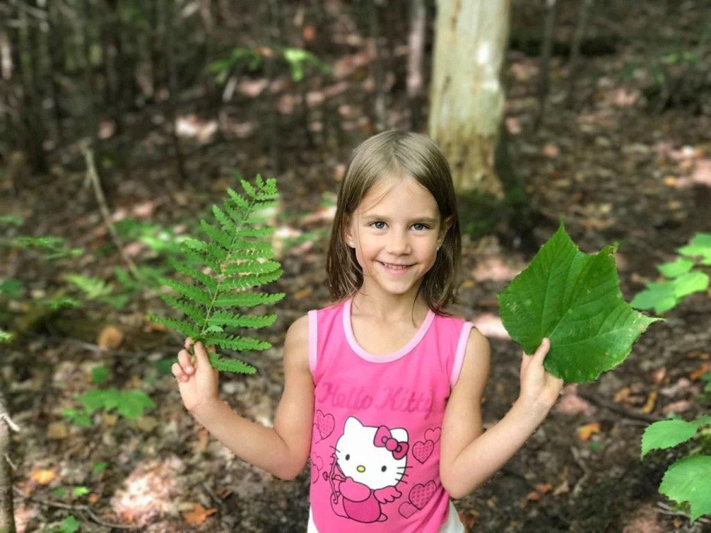 Chalets Le Village Suisse