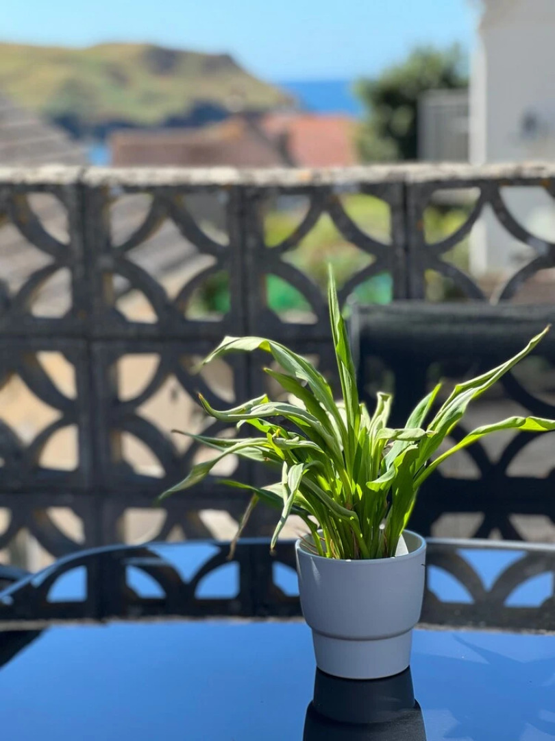 Sea View Hotel - Sandpebbles