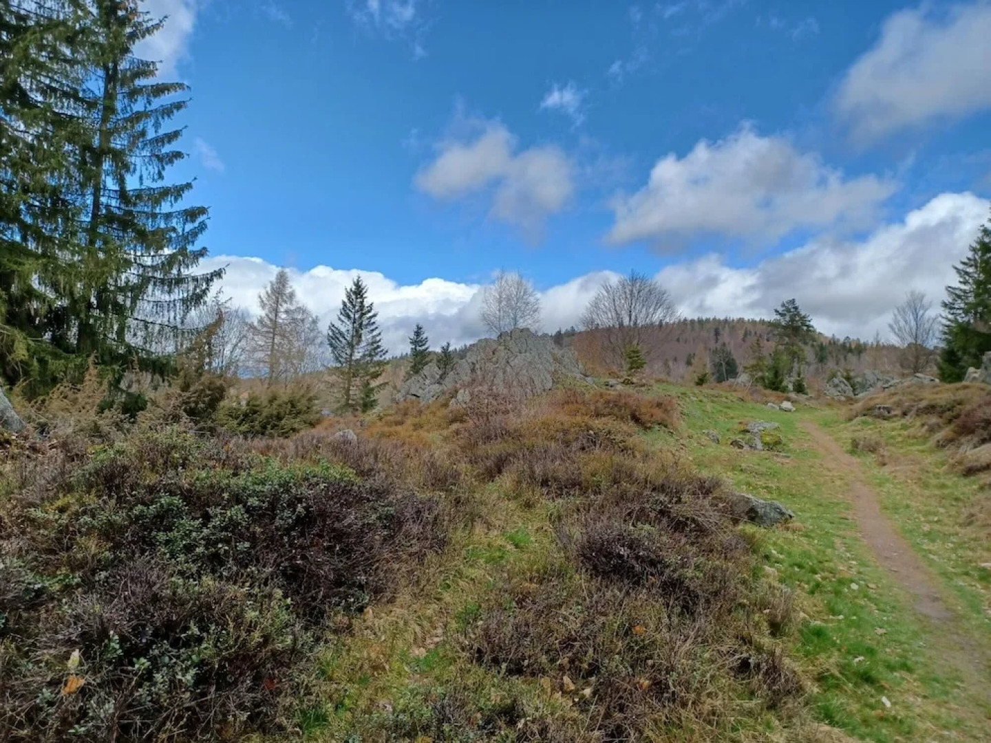 Schones Ferienhaus mit Grossem Garten bei Stadlern