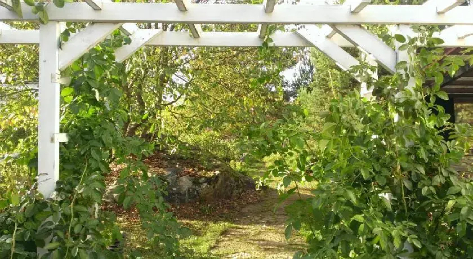 Okka Tavern & Guesthouse