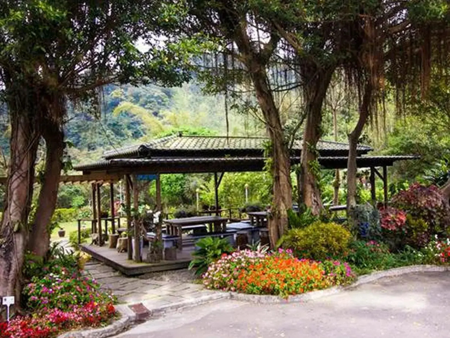 Taiwan Reishi Expert Bed and Breakfast