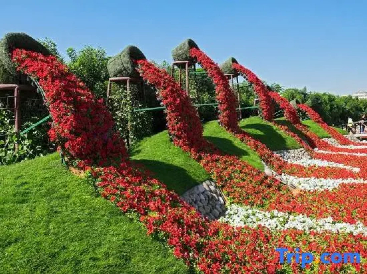 Color Village Resort Hotel